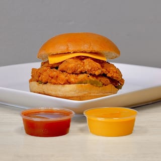 Spicy Chicken Sandwich Only
